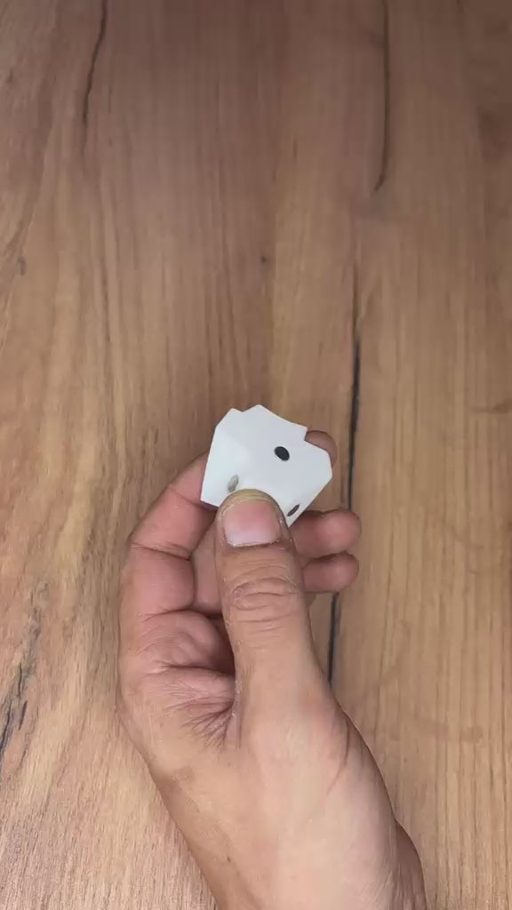 🧩 Puzzle Magnético - Pelicano 🦆