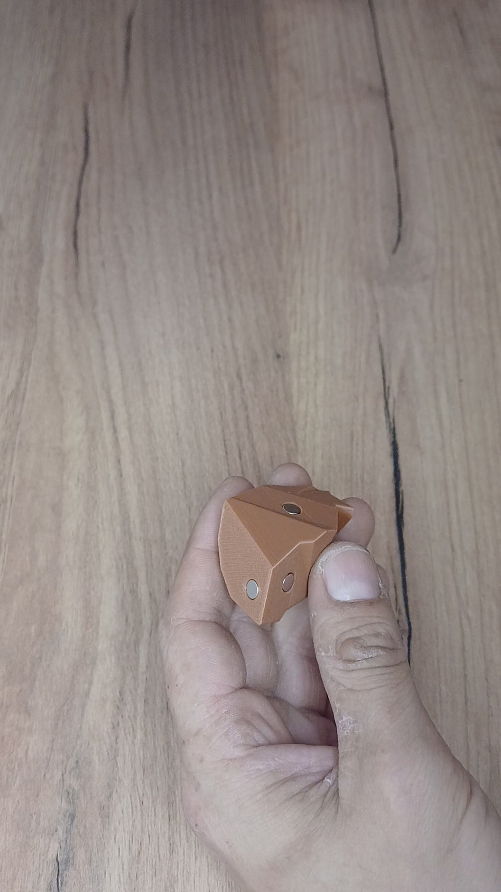 🧩 Puzzle Magnético - Kanguro 🦘