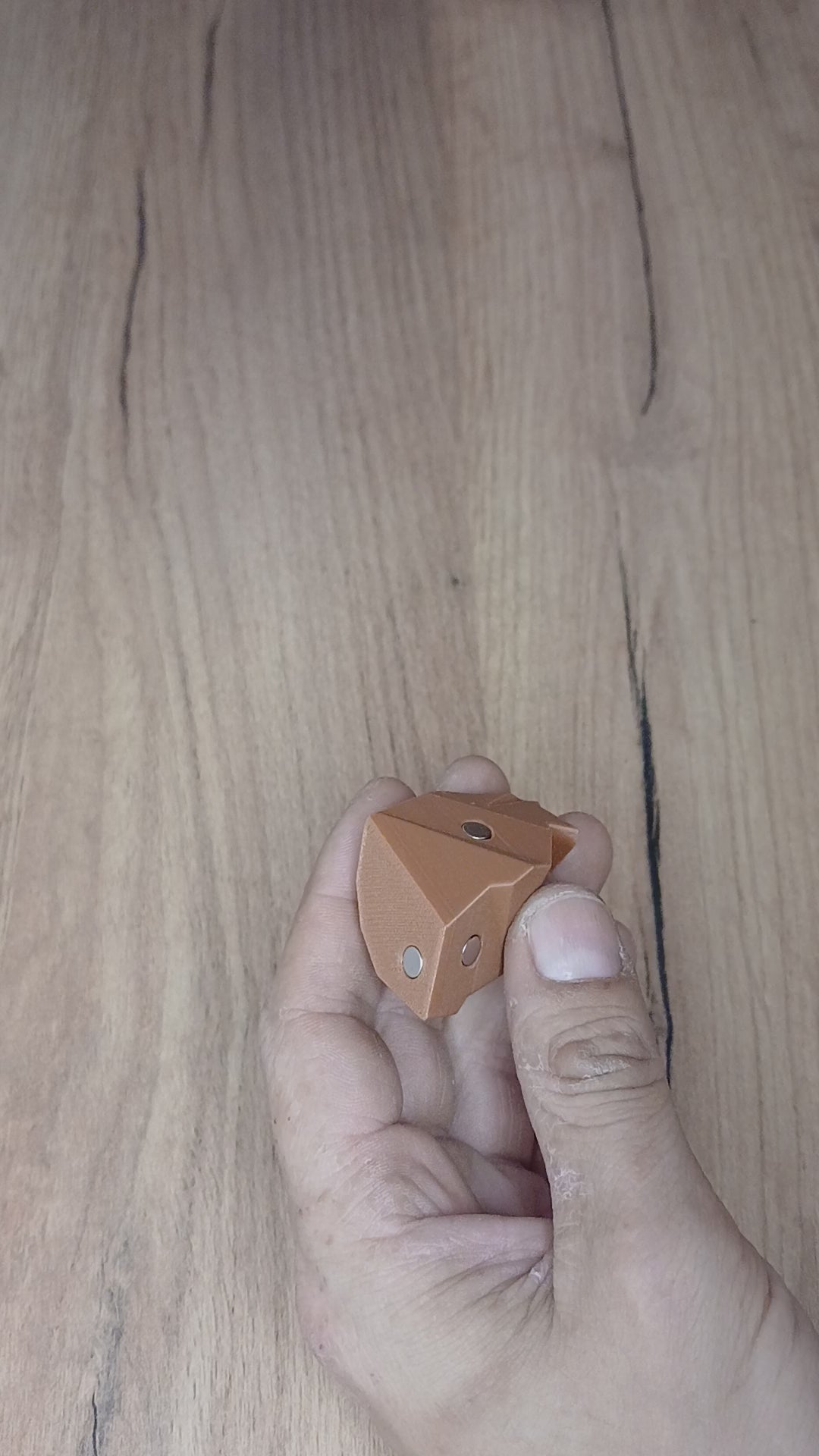 🧩 Puzzle Magnético - Kanguro 🦘