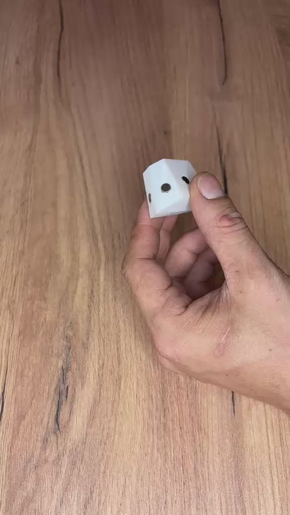 🧩 Puzzle Magnético - Pinguim Grande 🐧