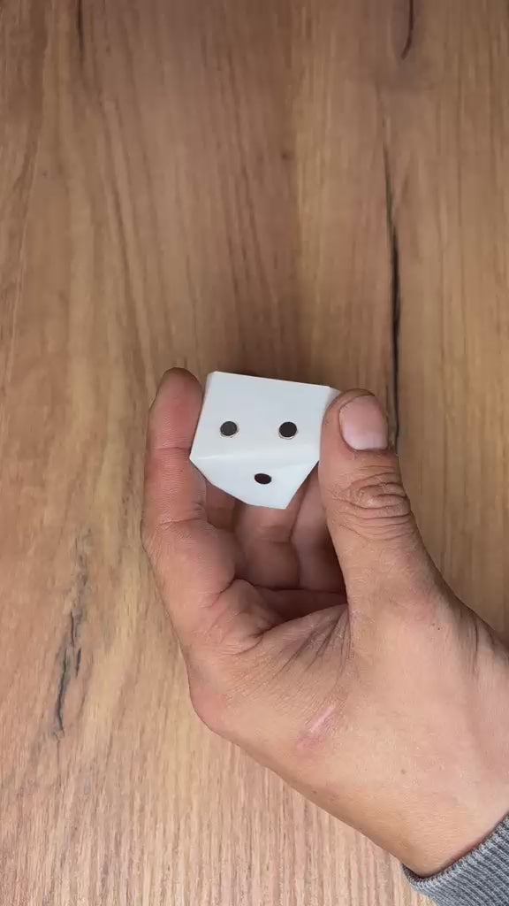 🧩 Puzzle Magnético - Galinha 🐔