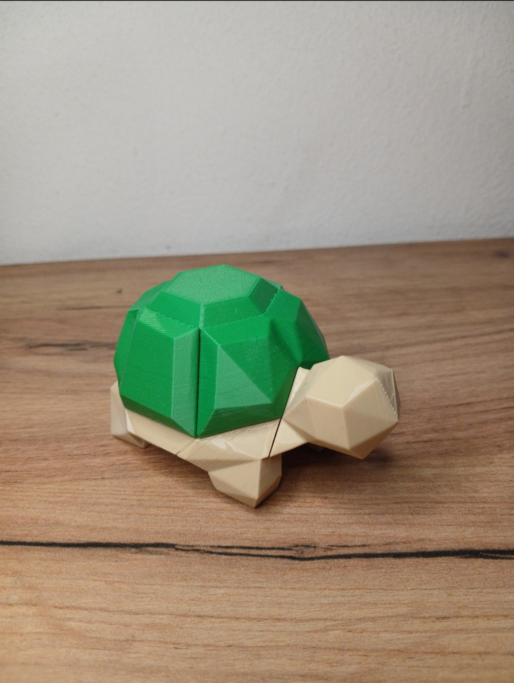 🧩 Puzzle Magnético - Tartaruga Pequena 🐢