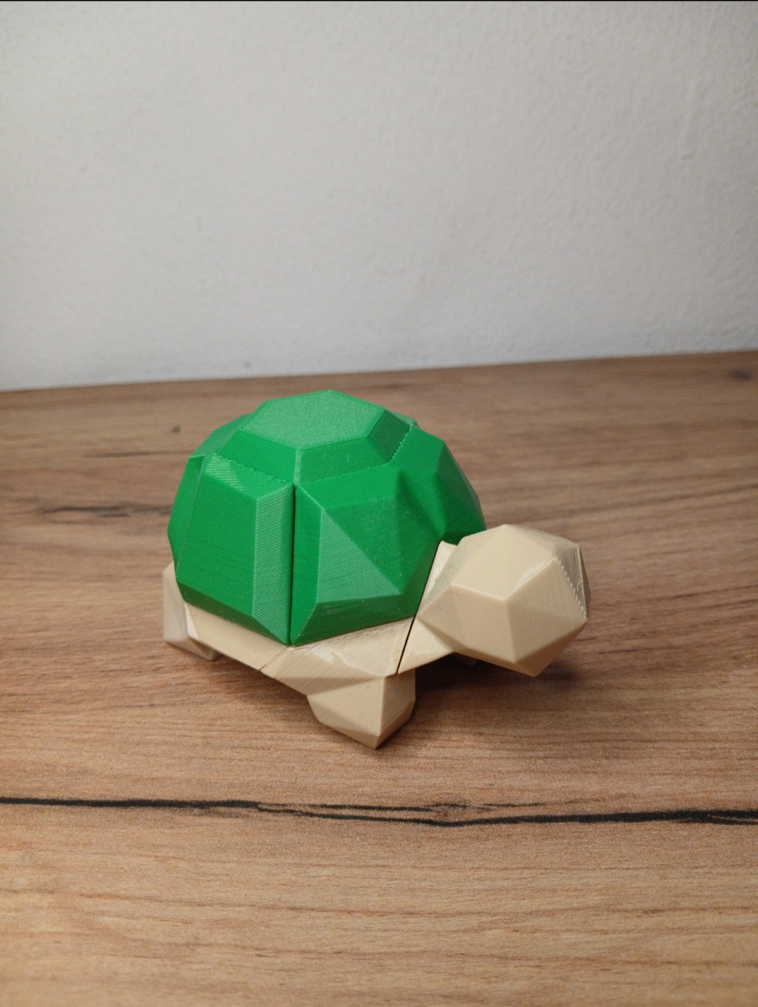 🧩 Puzzle Magnético - Tartaruga Pequena 🐢