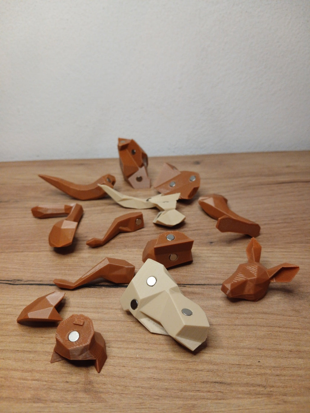 🧩 Puzzle Magnético - Kanguro 🦘