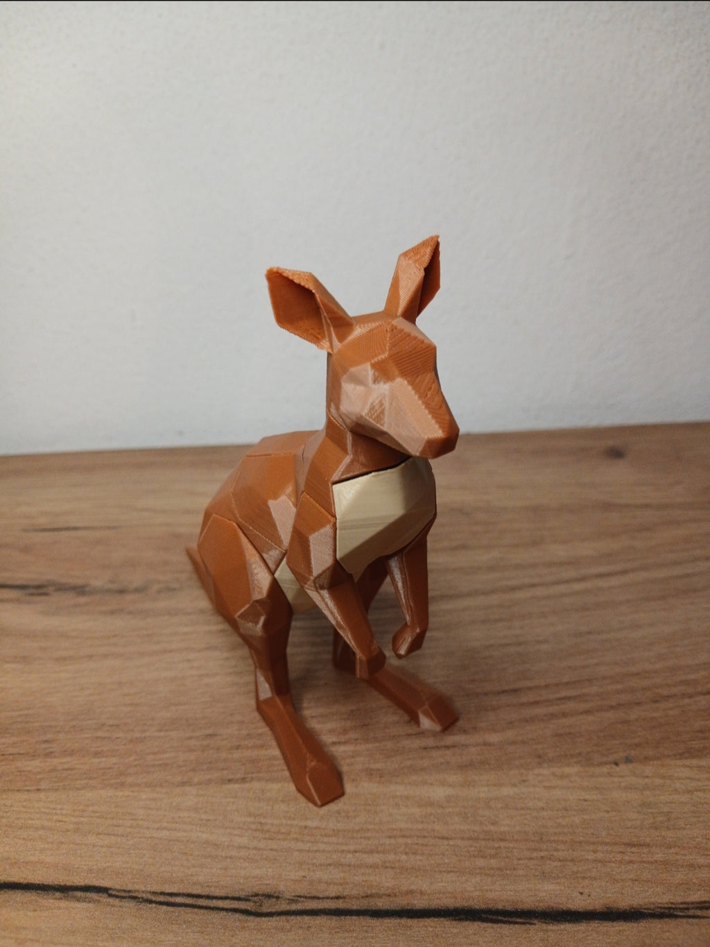🧩 Puzzle Magnético - Kanguro 🦘
