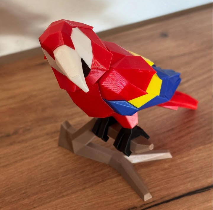 🧩 Puzzle Magnético - Papagaio 🦜